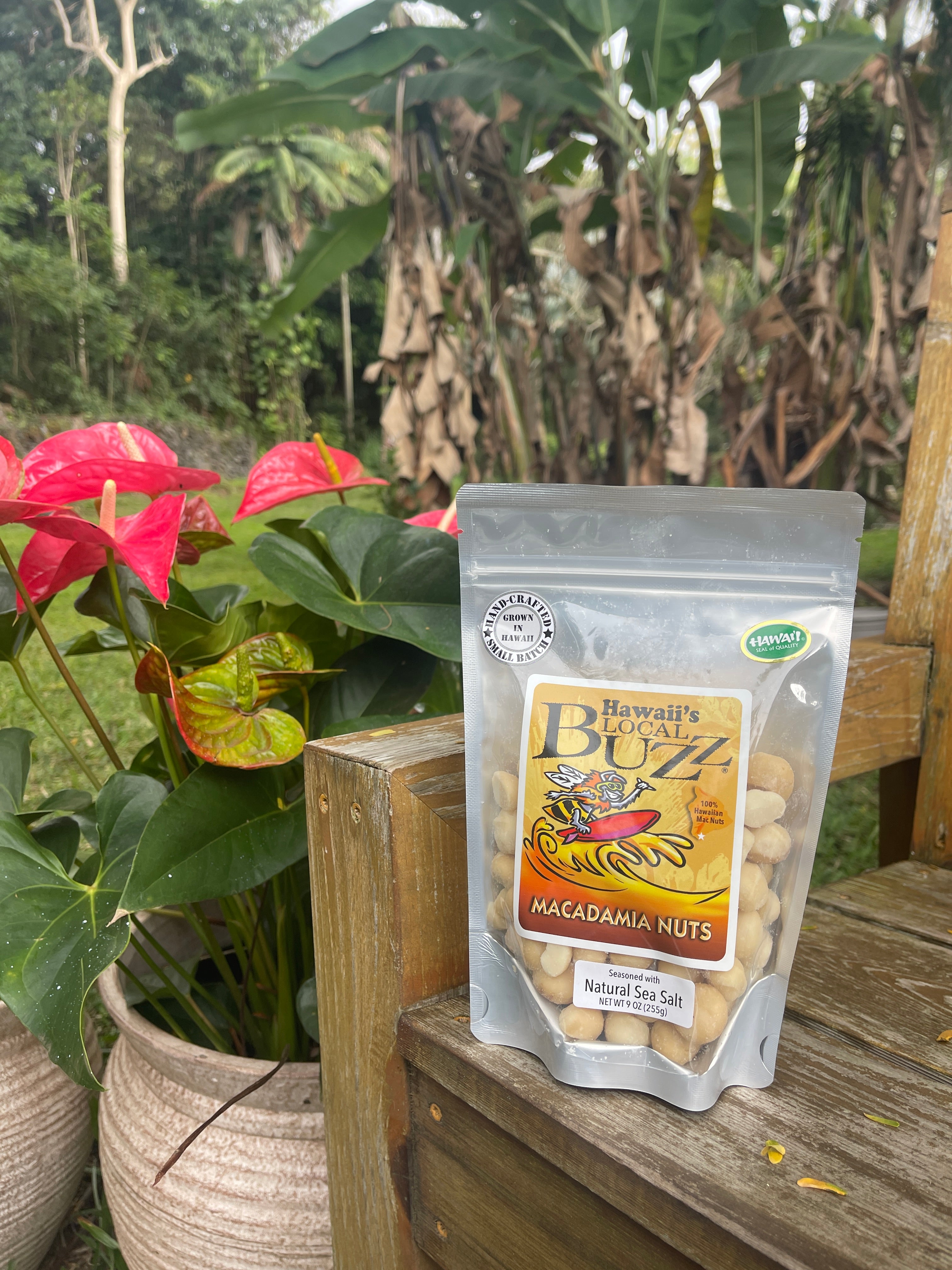 Natural Sea Salt Macadamia Nuts