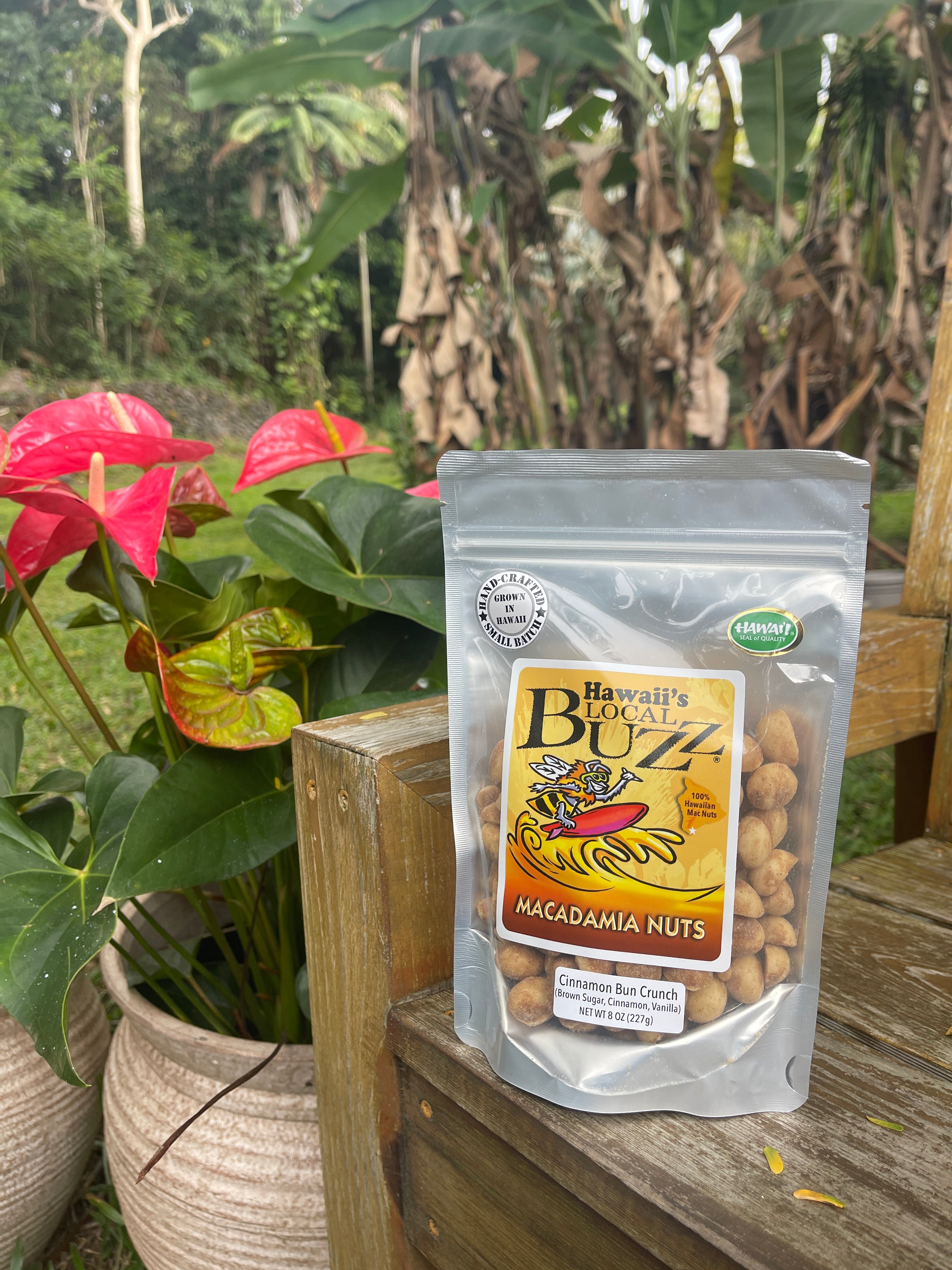 Cinnamon Macadamia Nuts