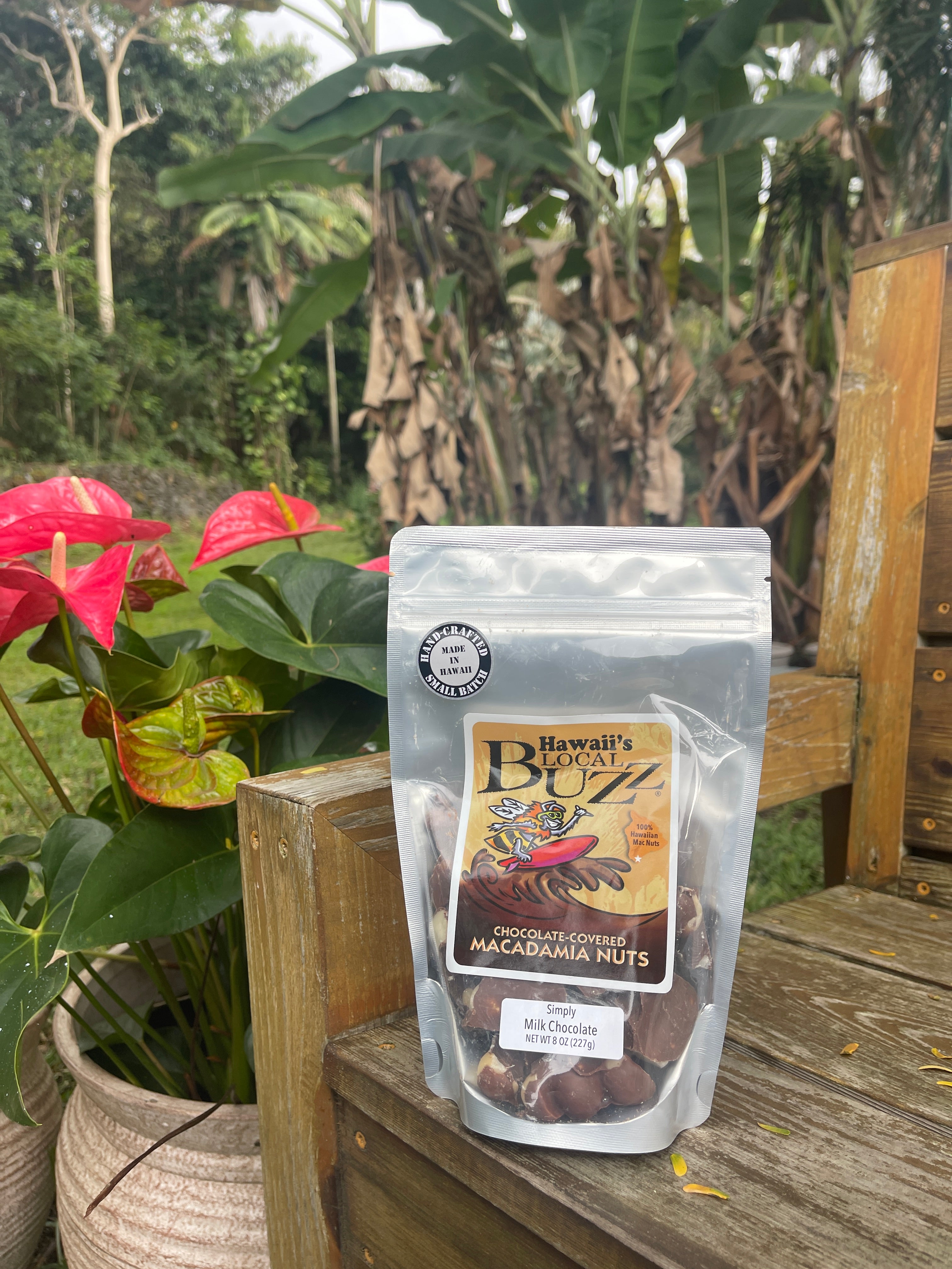 Milk Chocolate Covered Macadamia Nuts