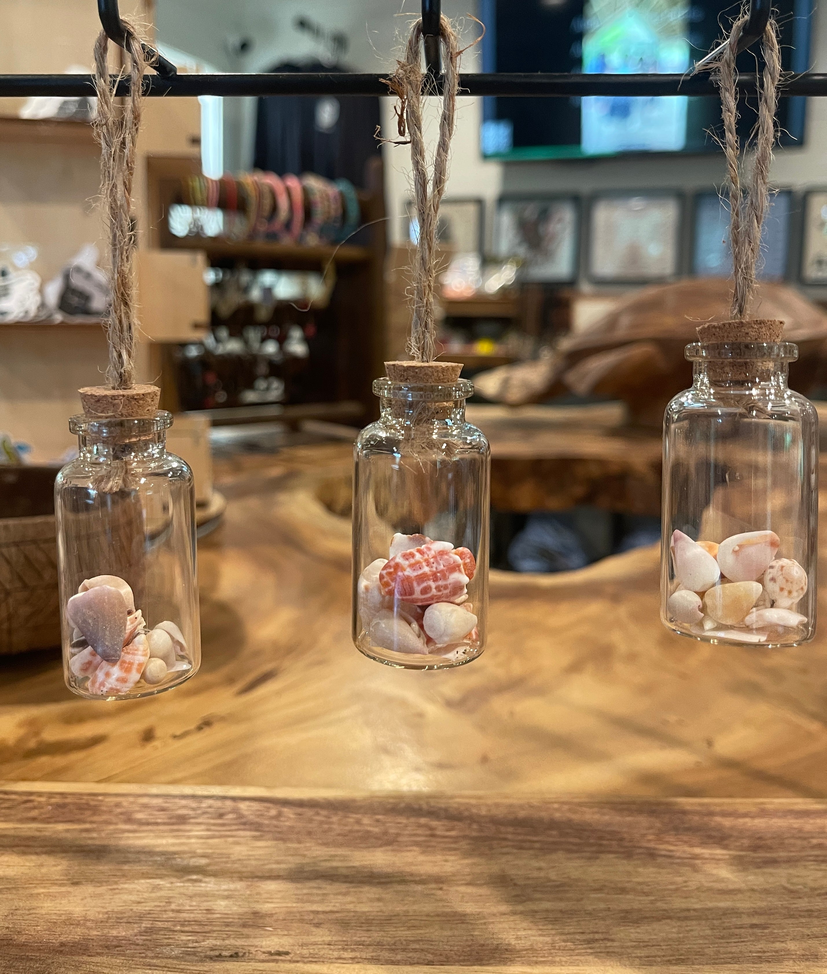 Hawaii Seashell Ornament Small