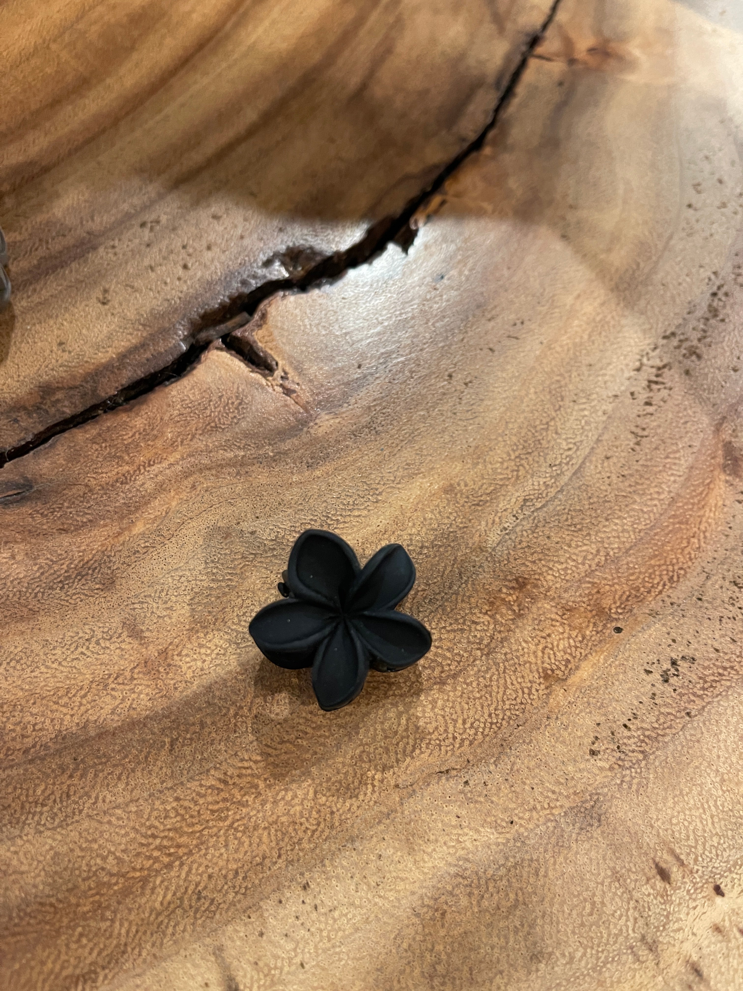 Mini Plumeria Claw Clips