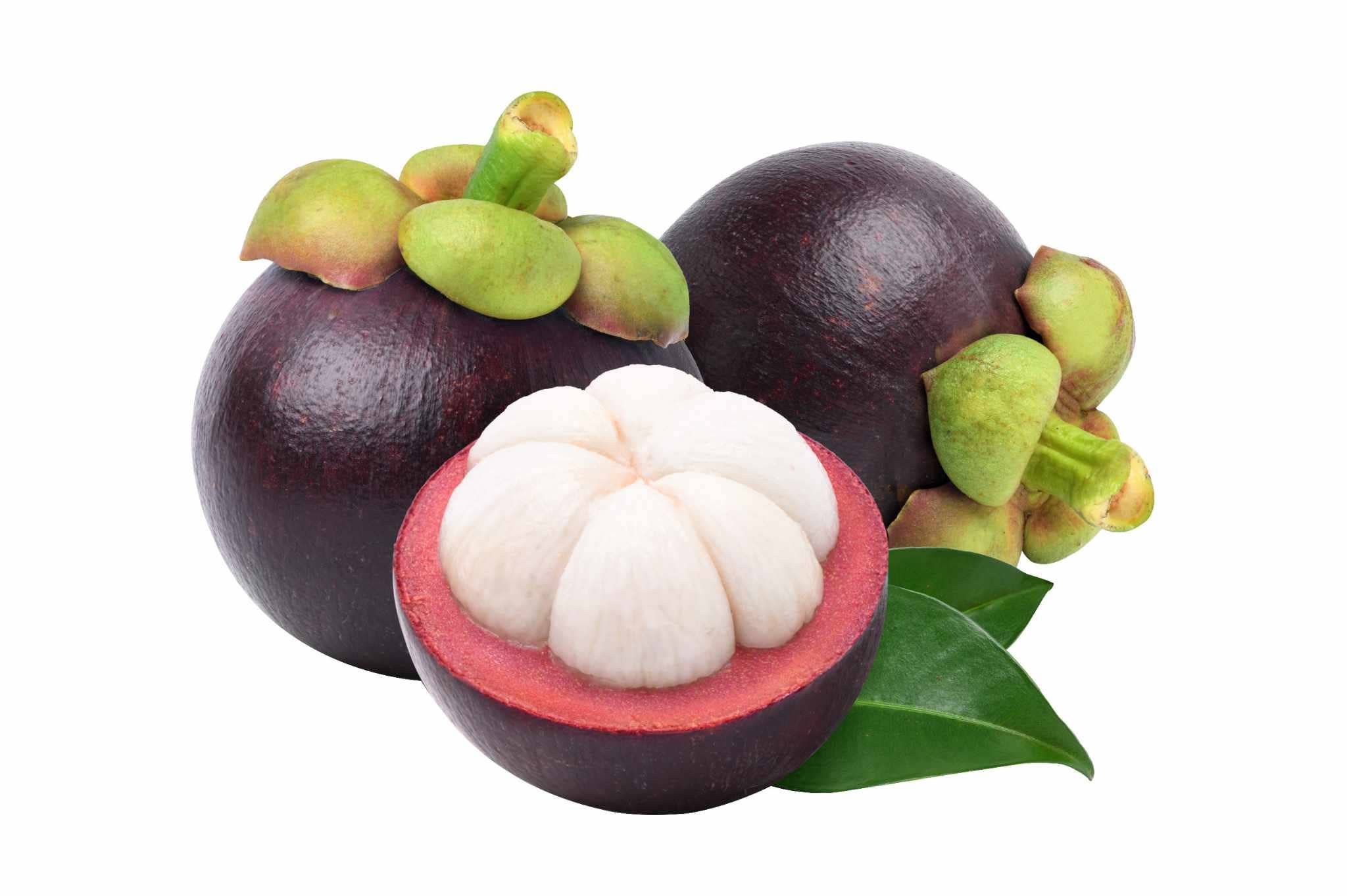 NOKKI FARM Freeze Dried Mangosteen Crisps - No Added Sugar