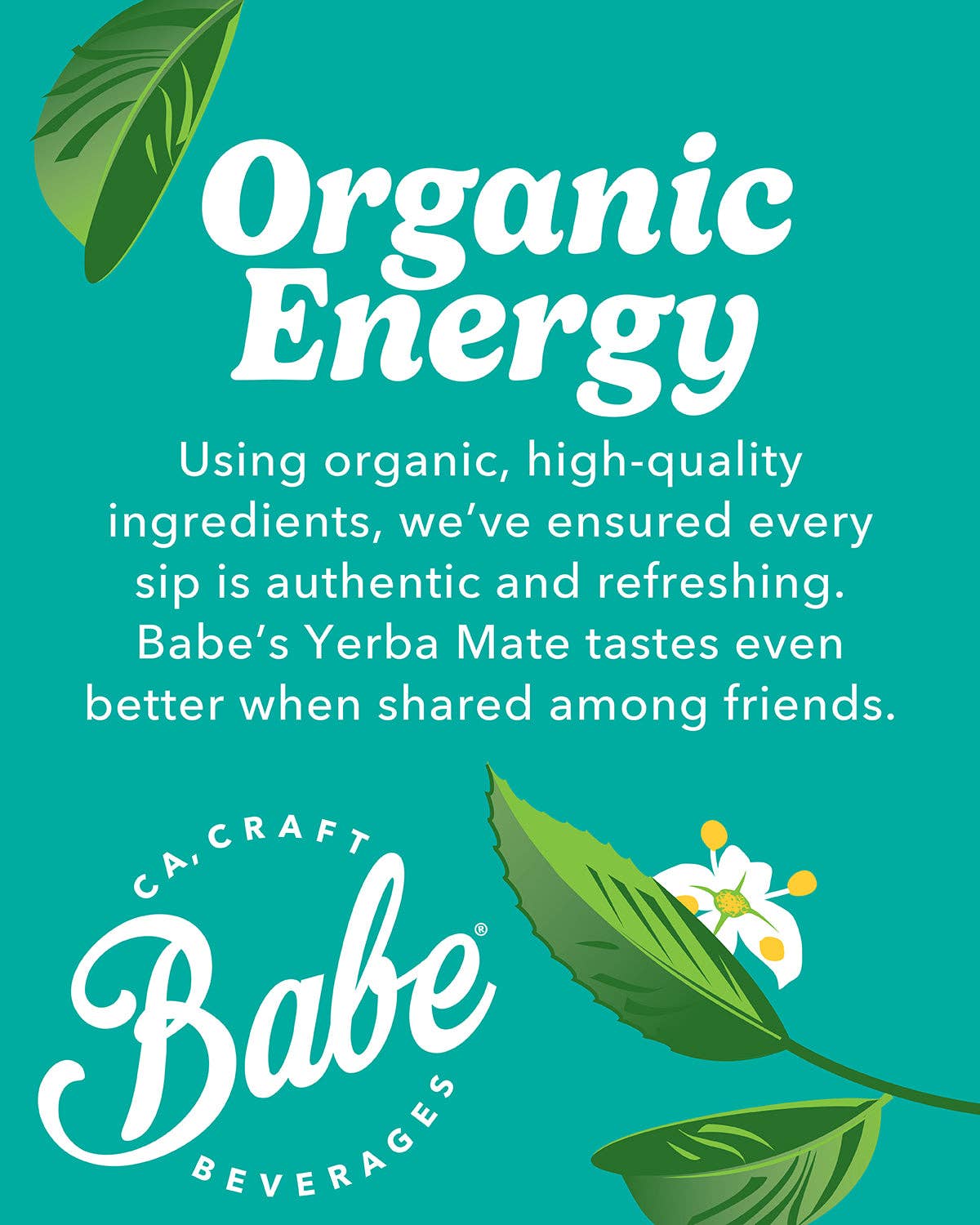 Yerba Mate Peach Mango 12 oz
