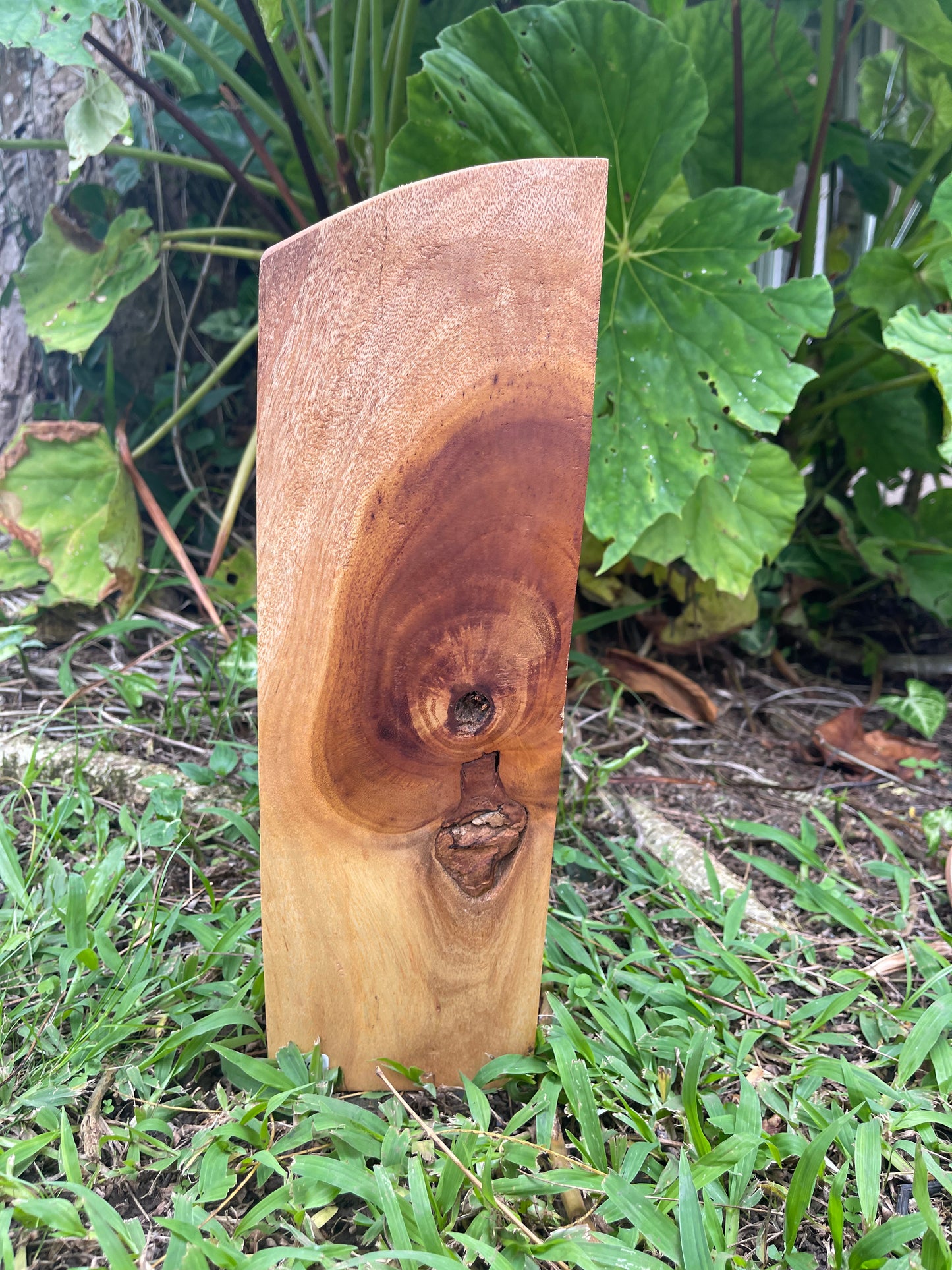 Tiki Carving #1