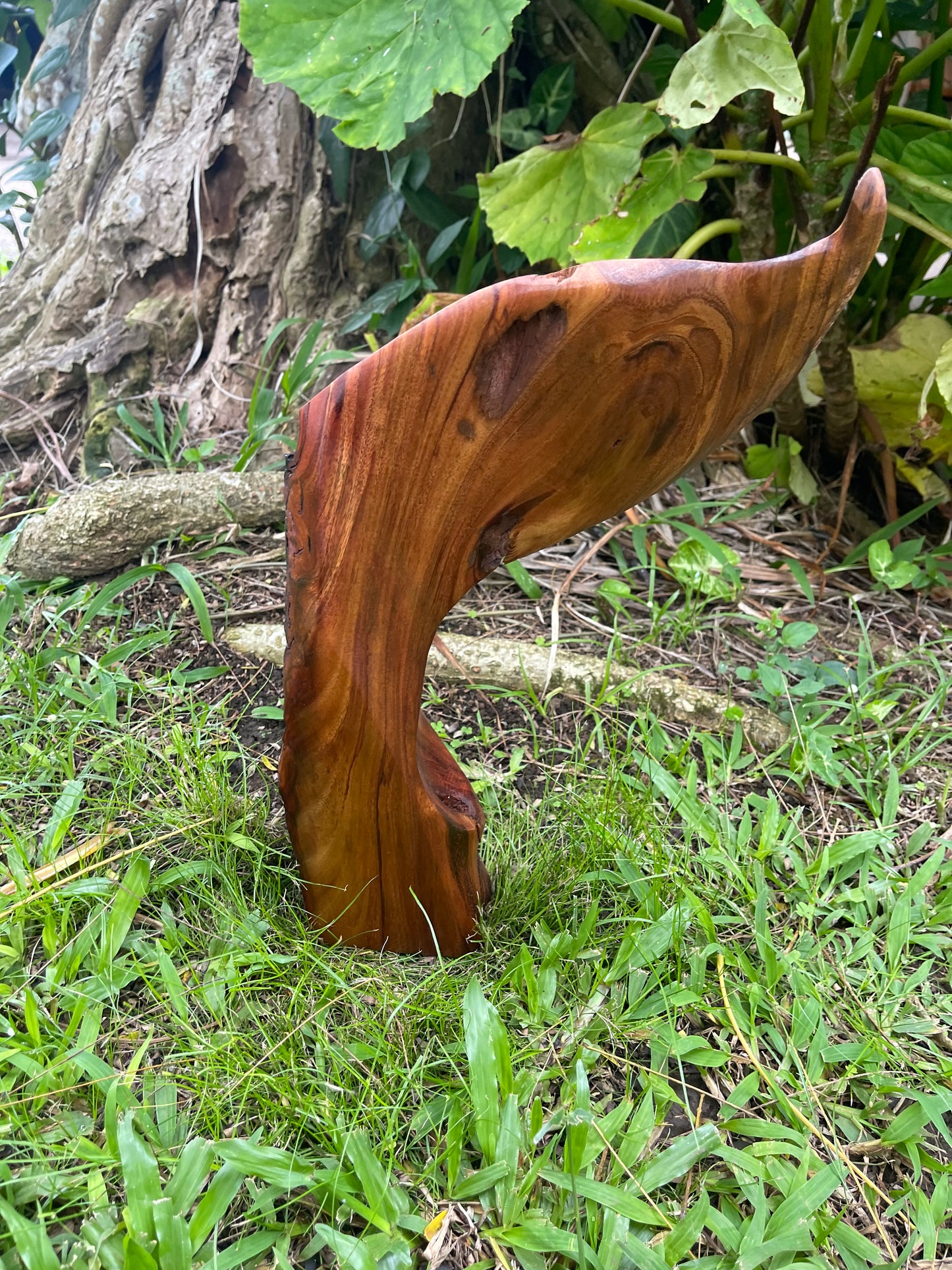 Half Whale Tail Koa Wood Carving