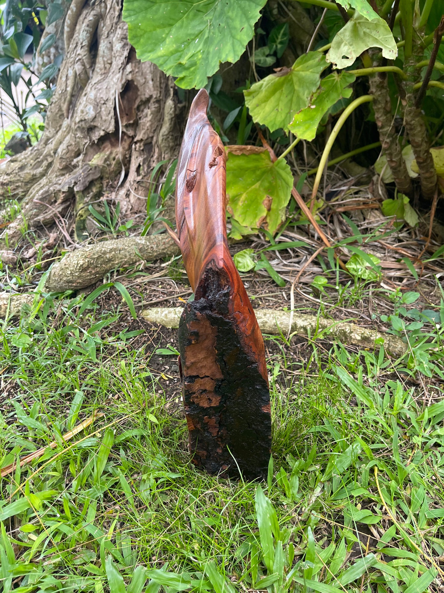 Half Whale Tail Koa Wood Carving - Side View