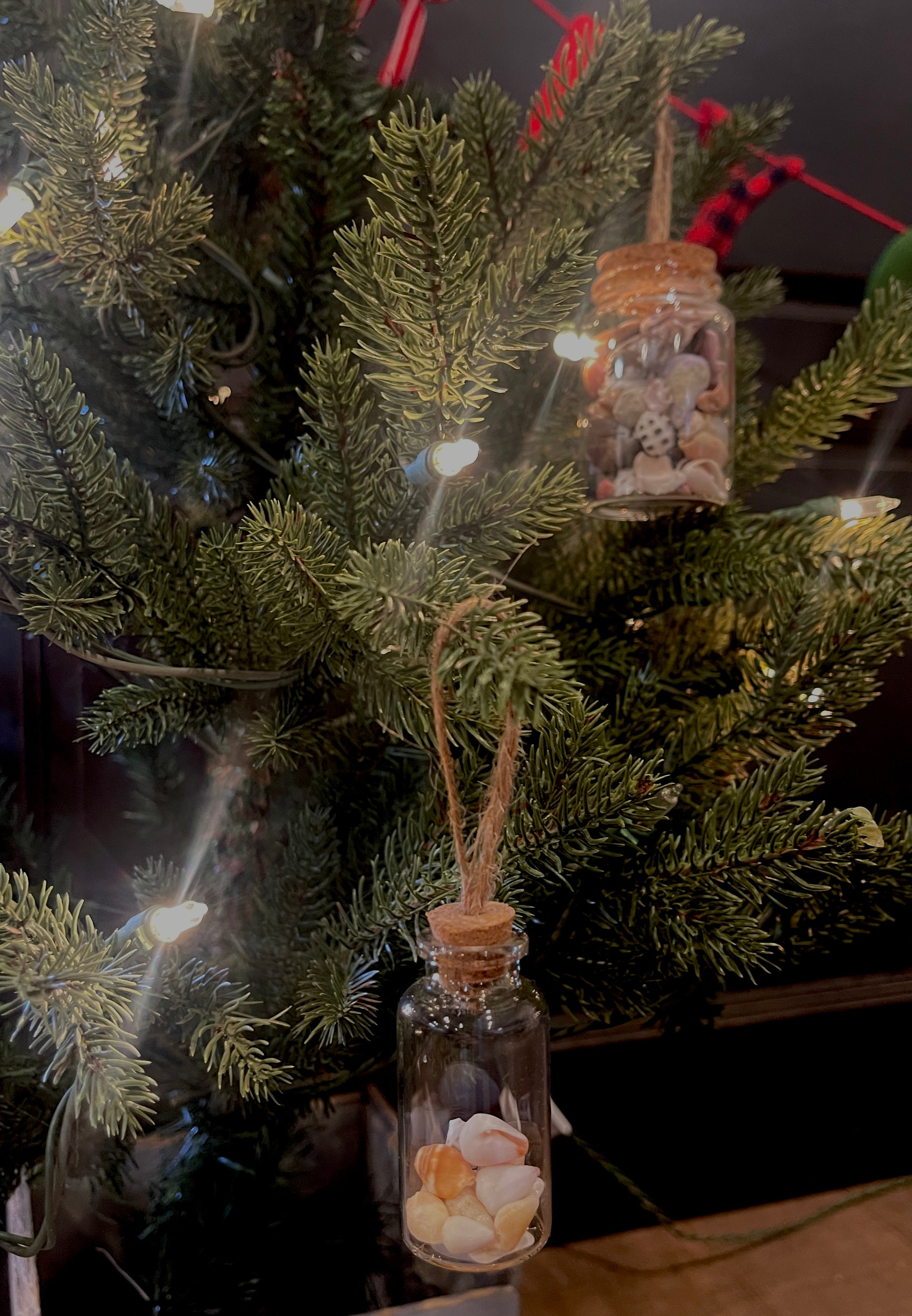 Hawaii Seashell Ornament Small