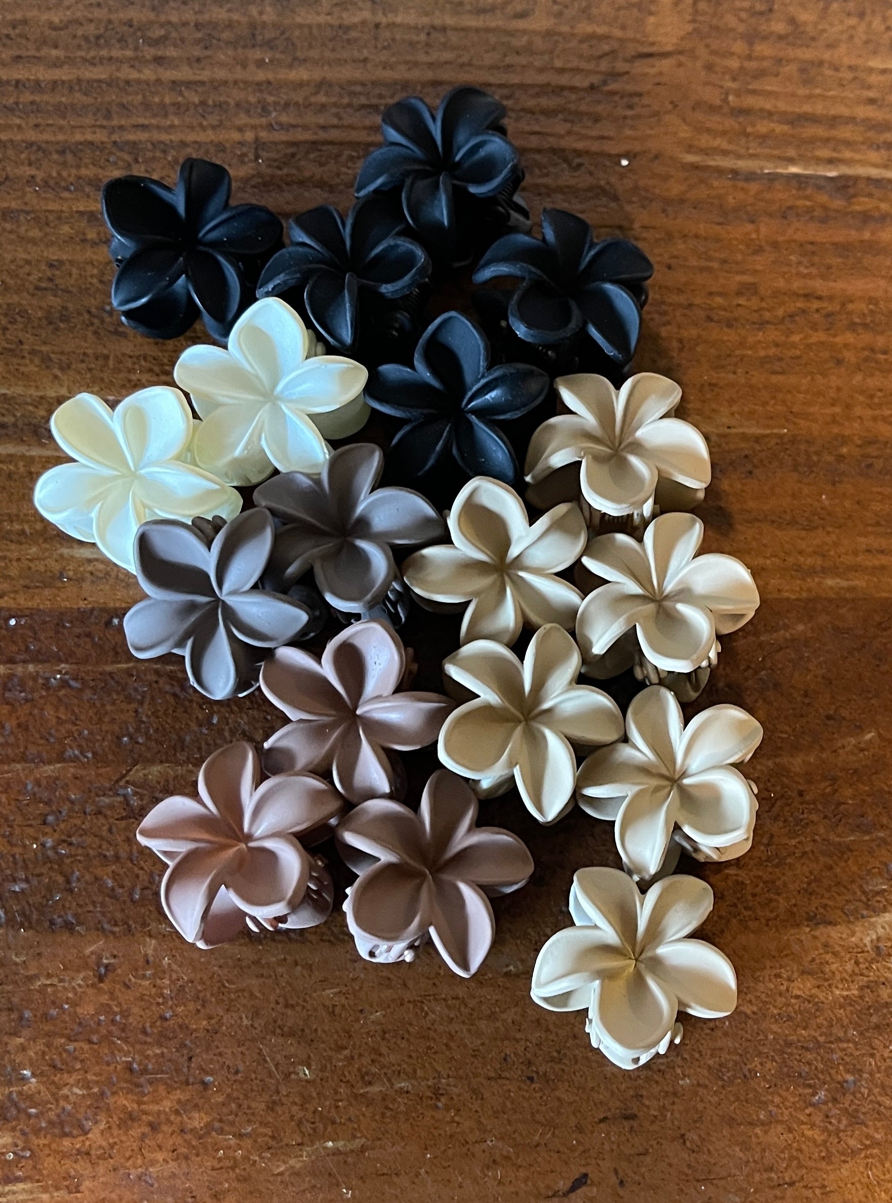 Mini Plumeria Claw Clips