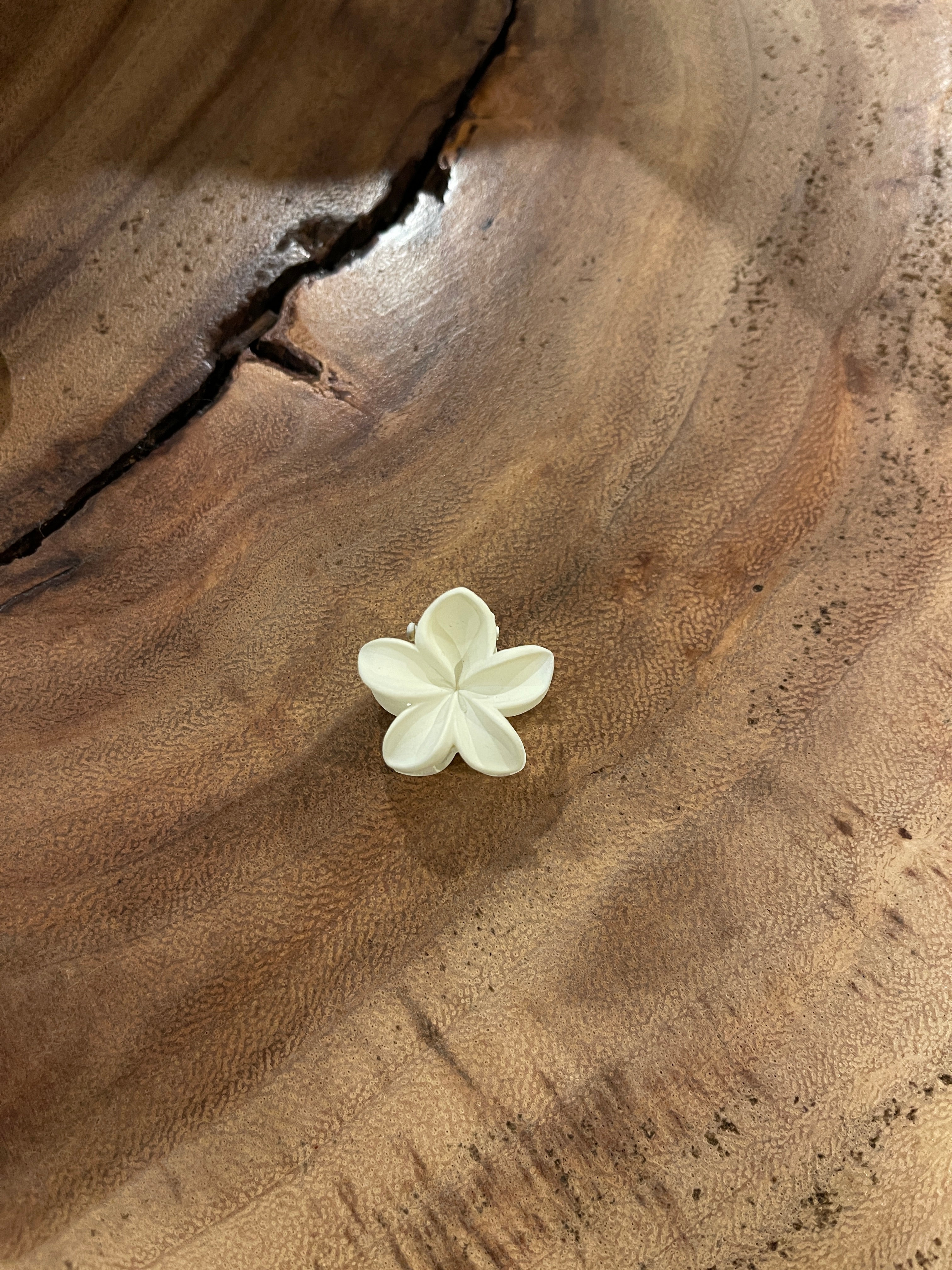 Mini Plumeria Claw Clips