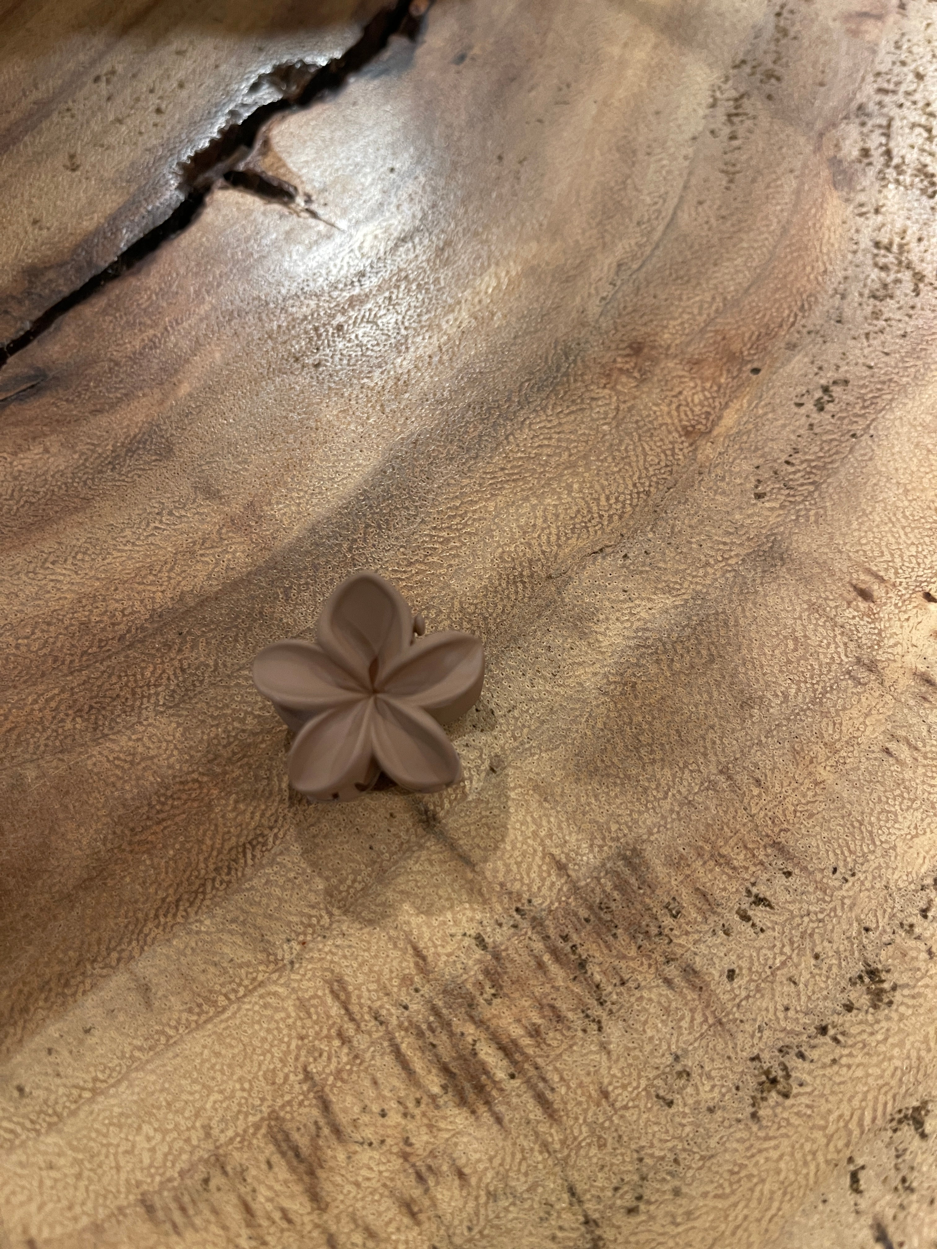 Mini Plumeria Claw Clips