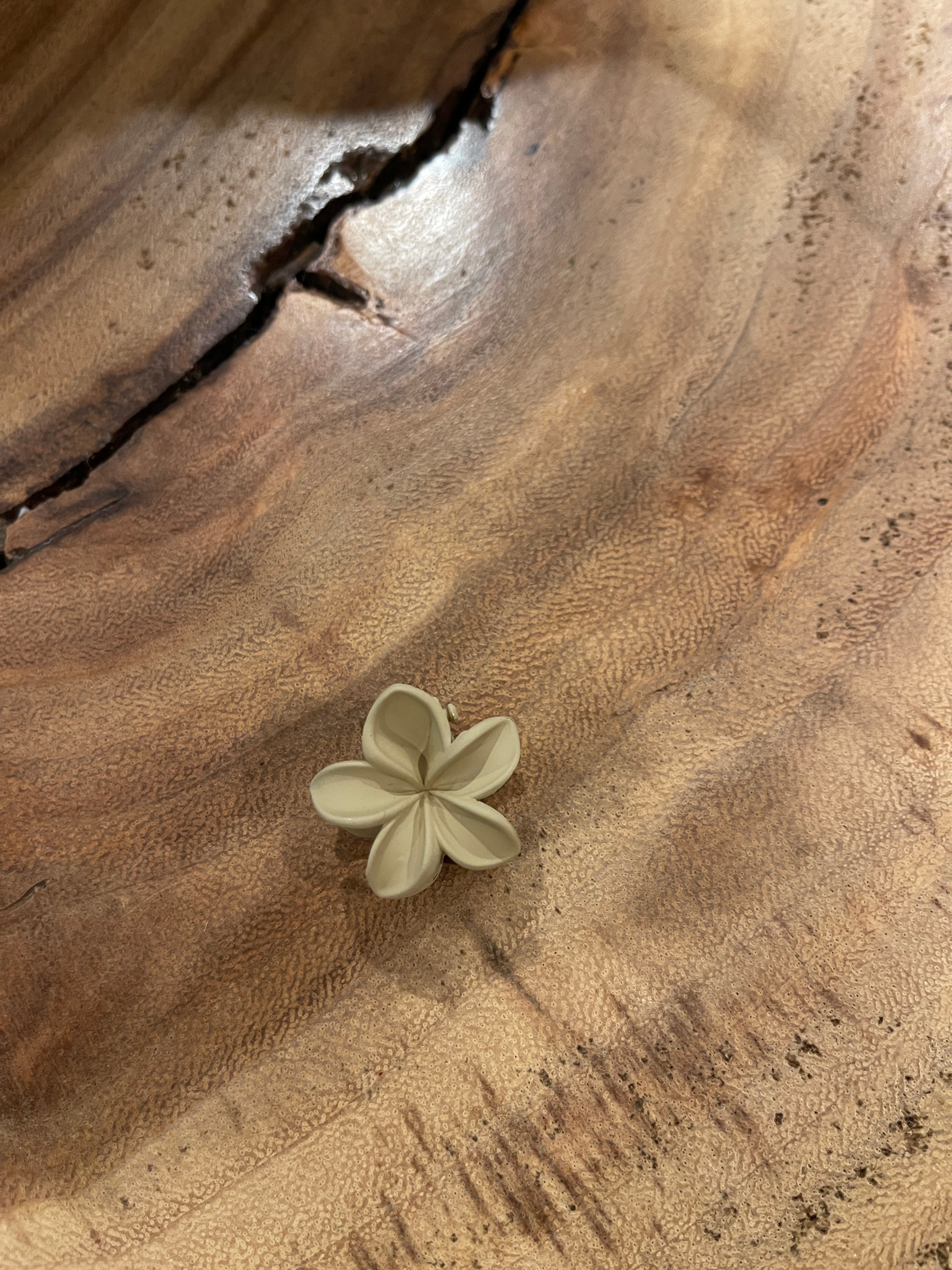 Mini Plumeria Claw Clips