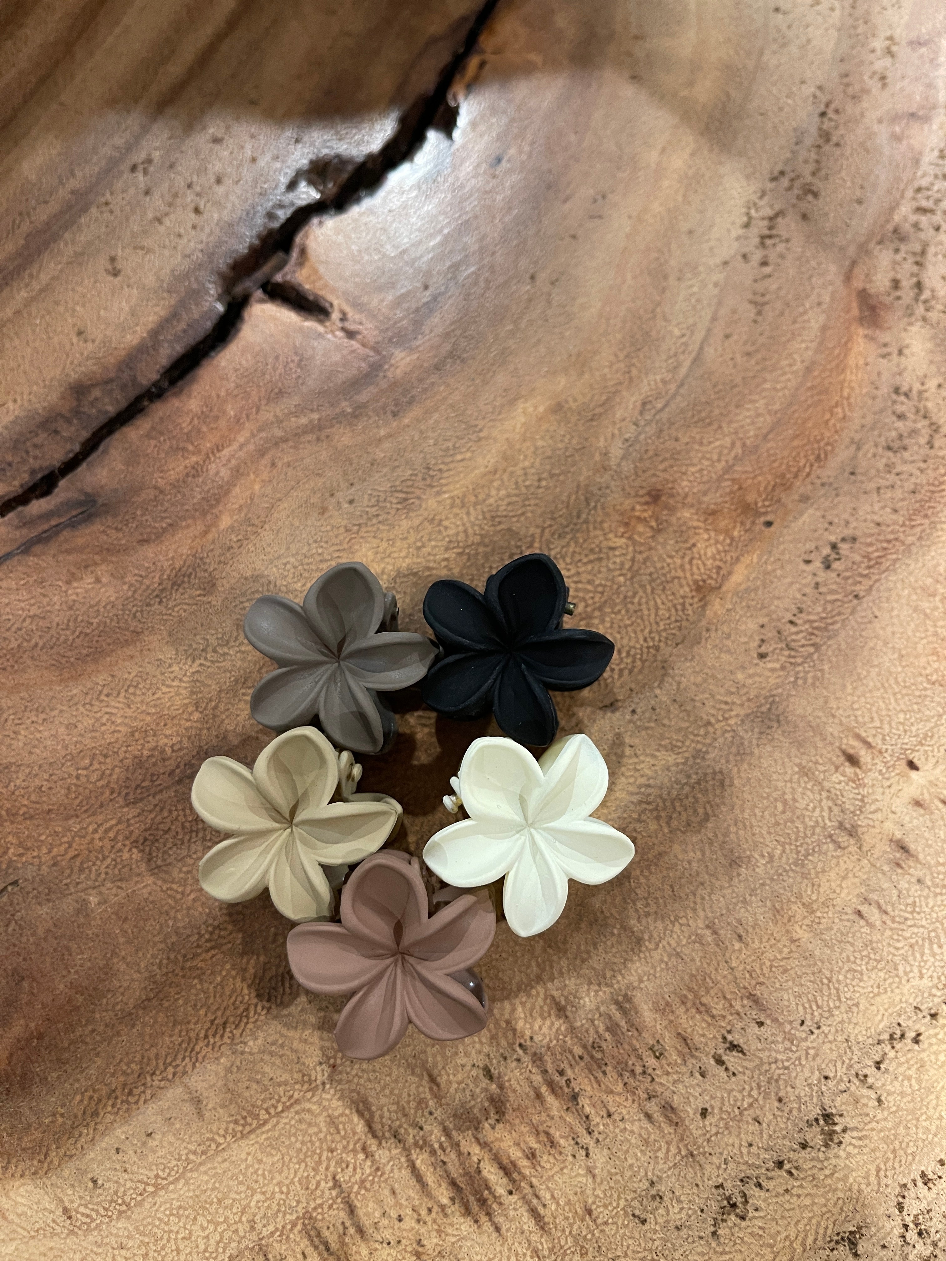 Mini Plumeria Claw Clips