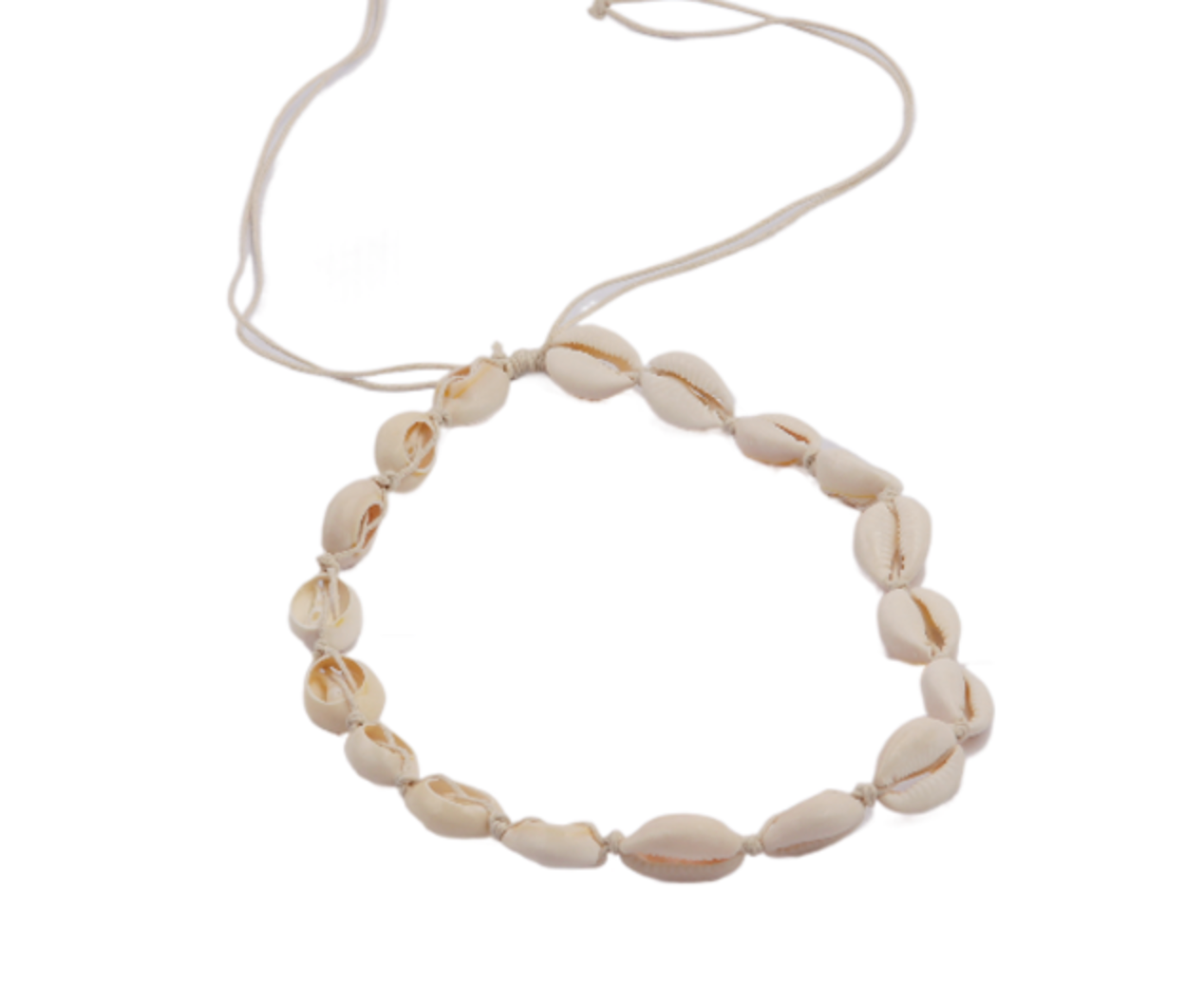 Cowrie Choker Necklace