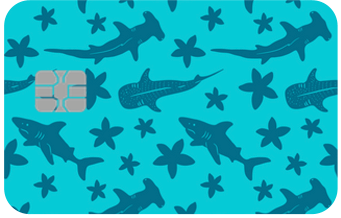 Card Skins