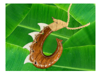 Fish Hook With Shark Teeth