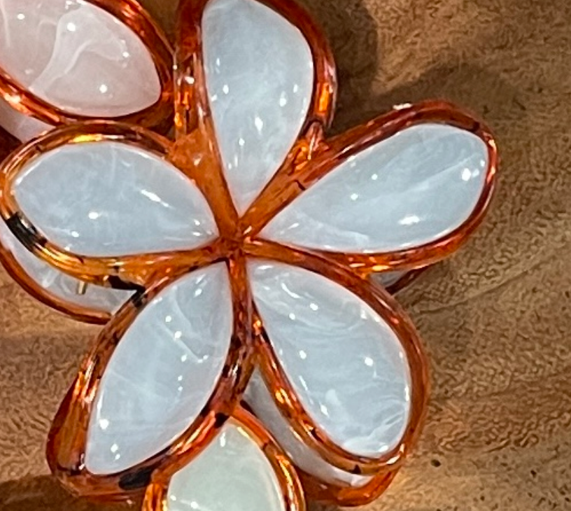 Sunset Plumeria Claw Clips