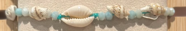 Shell Bracelets