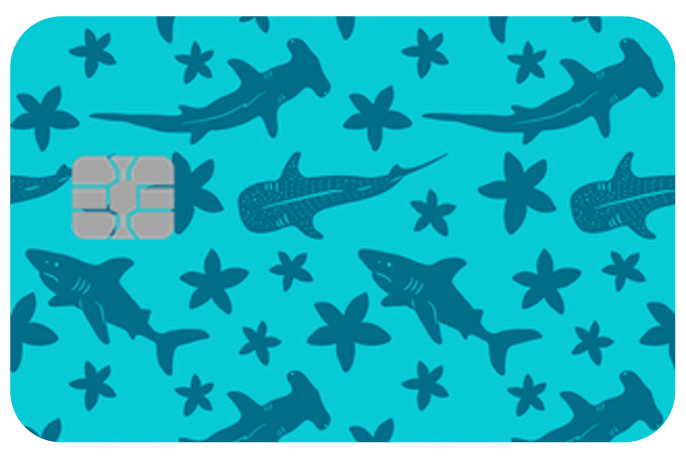 Card Skins